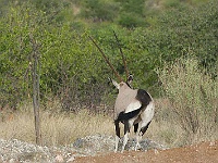 Mud Maps Africa Namibia 0475.JPG
